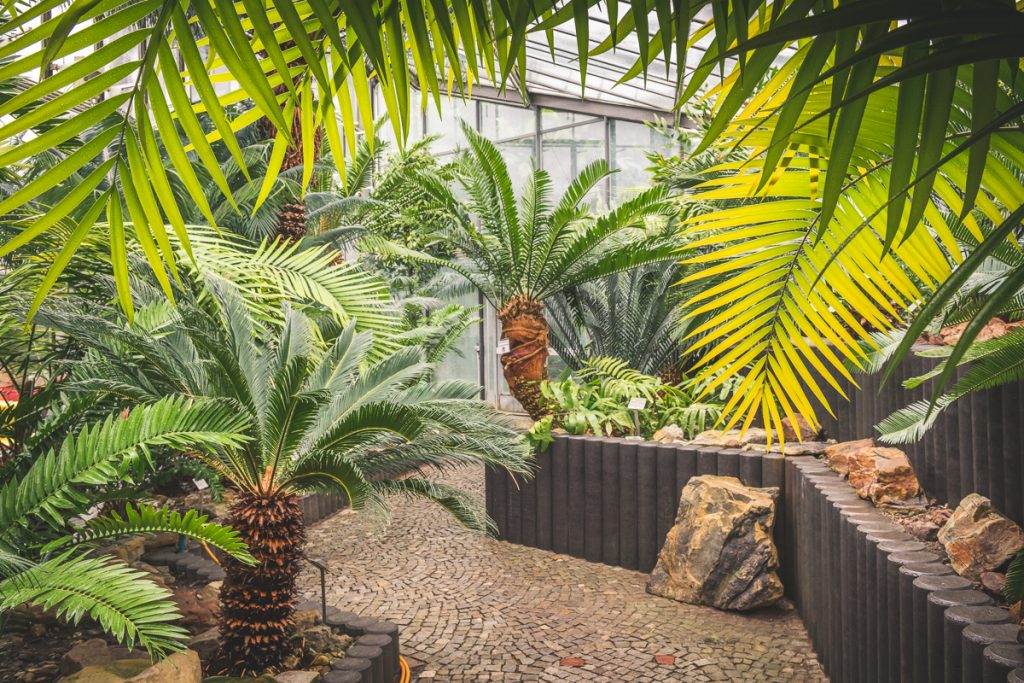 Planten un Blomen | SchietWetter  Kerstin Bittner Fotografie
