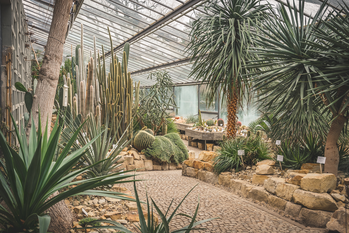 Planten un Blomen | SchietWetter  Kerstin Bittner Fotografie