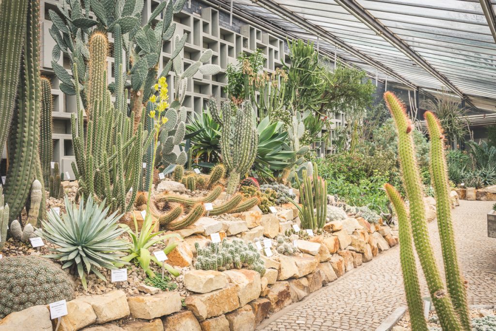 Planten un Blomen | SchietWetter  Kerstin Bittner Fotografie