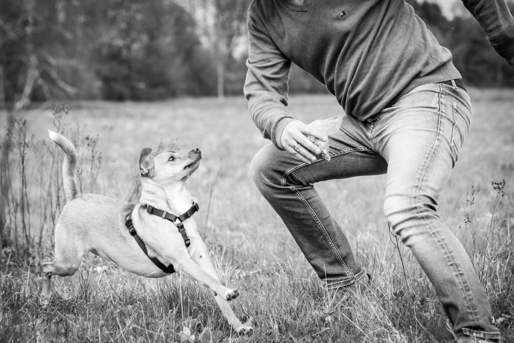 Hund mit Herrchen beim Spielen. Foto: Kerstin Bittner