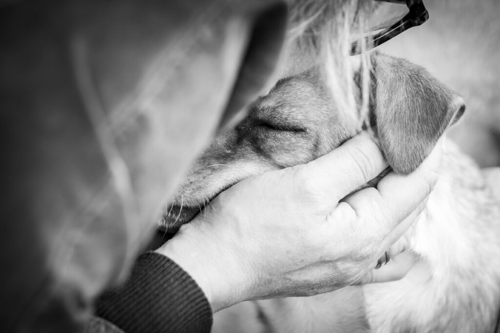Hund beim kuscheln. Foto: Kerstin Bittner