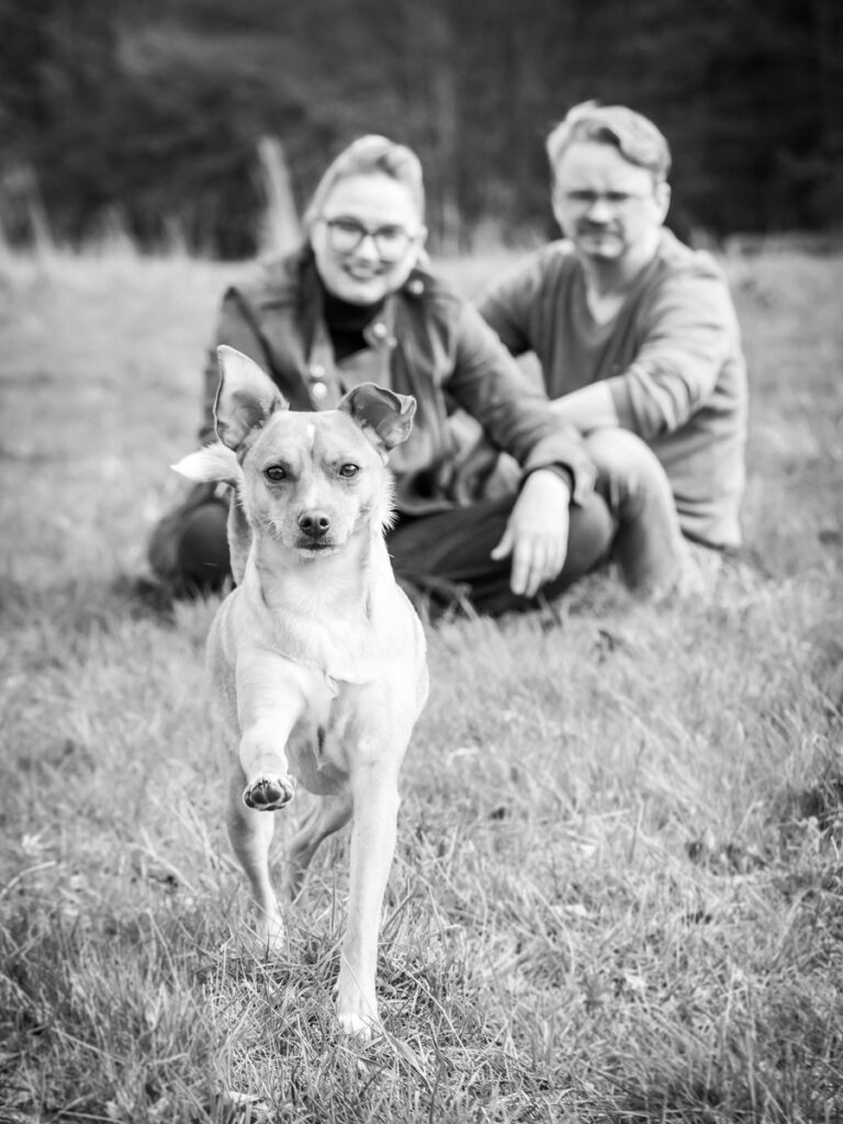 Hund rennt auf die Kamera zu. Foto: Kerstin Bittner